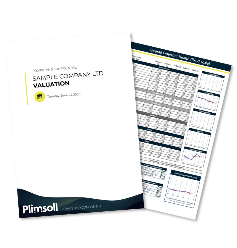 Sample Plimsoll valuation report